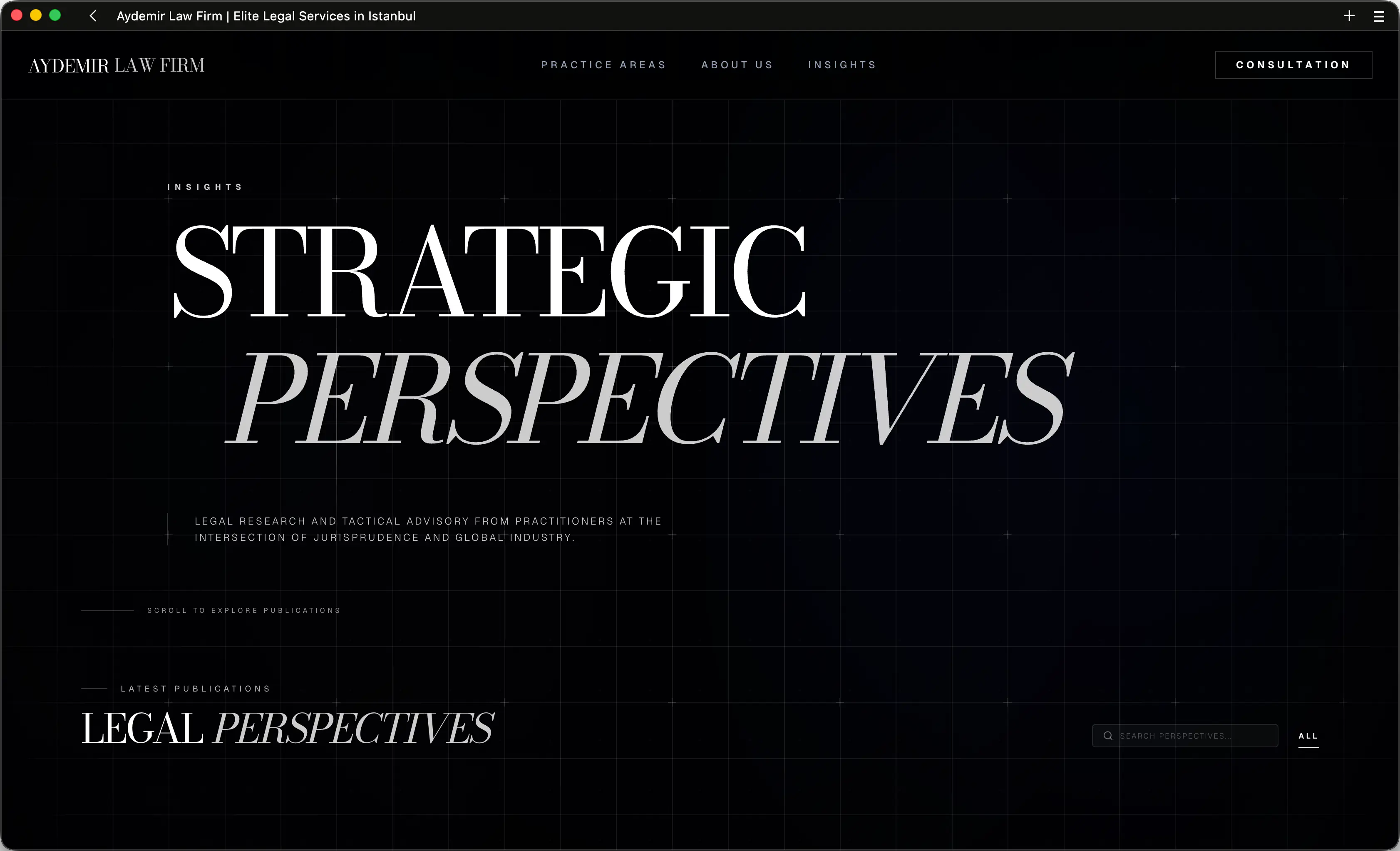 Insights page with background stating the Strategic Perspectives