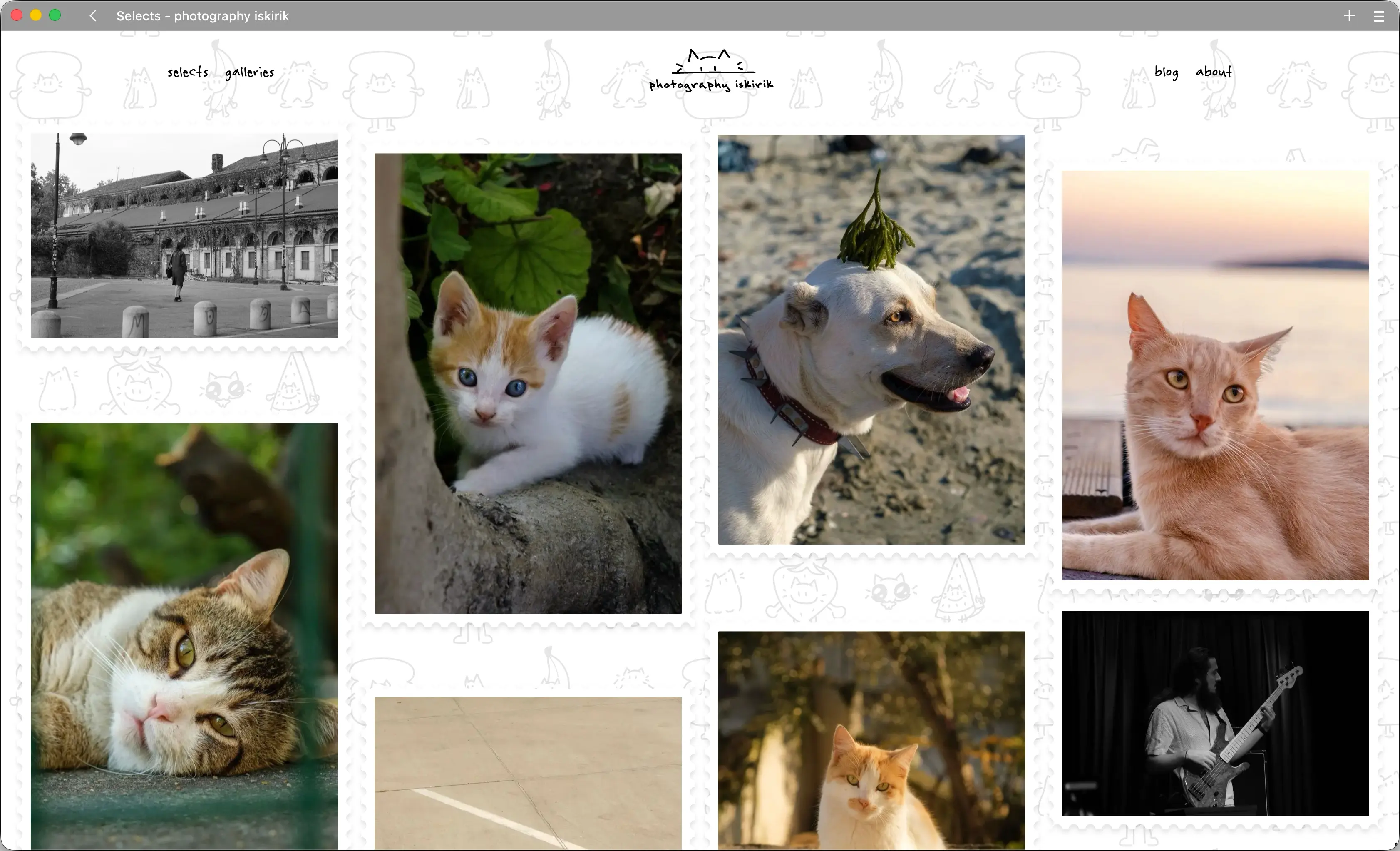 Postcard grid featuring serrated CSS borders and interactive hover transitions