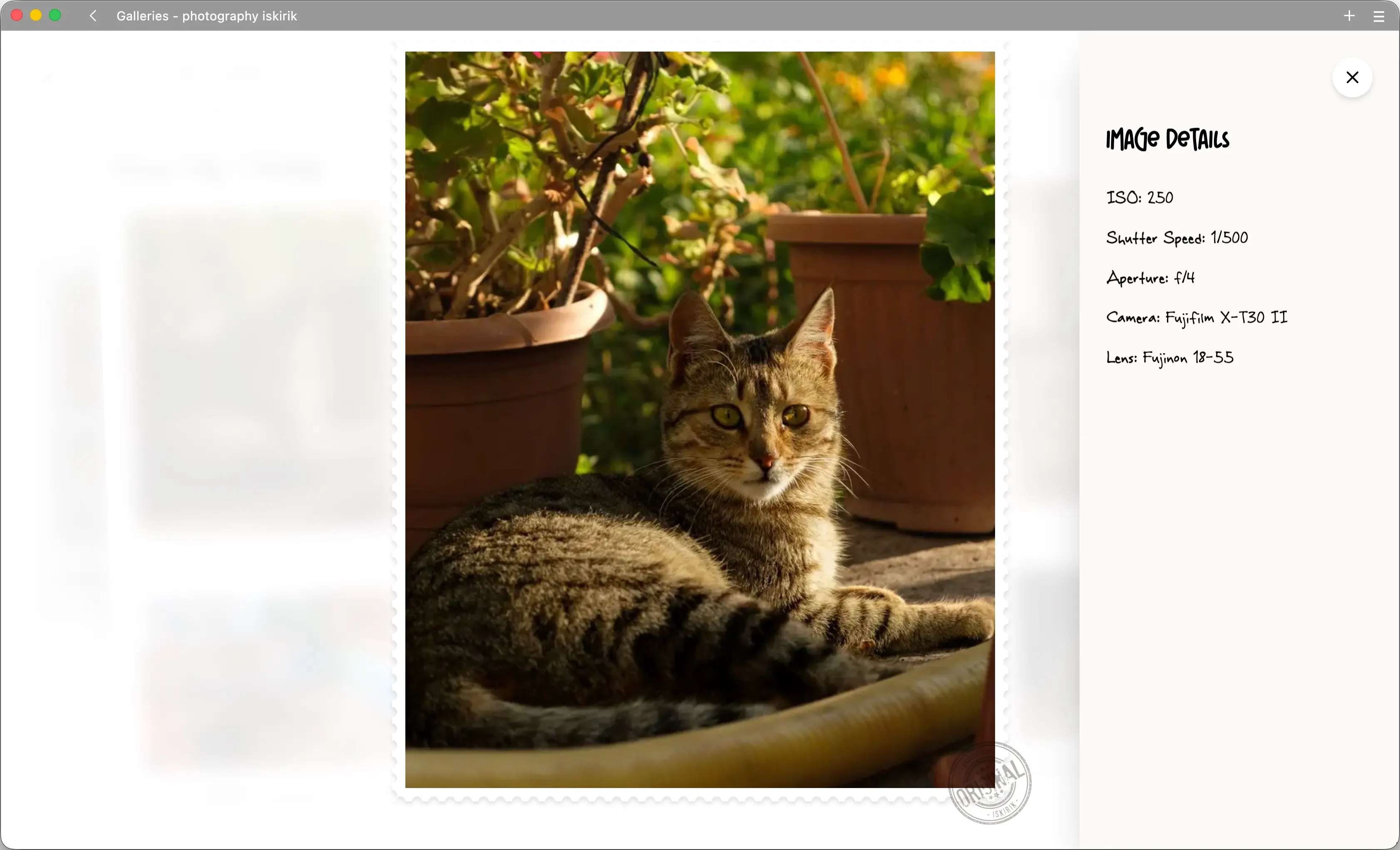 Detail sidebar displaying dynamic camera metadata parsed from the Strapi CMS backend